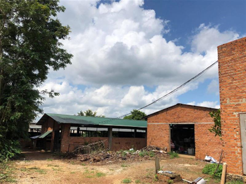 APCOVE Vet- APIDDaR (2021-2023) – DFAT