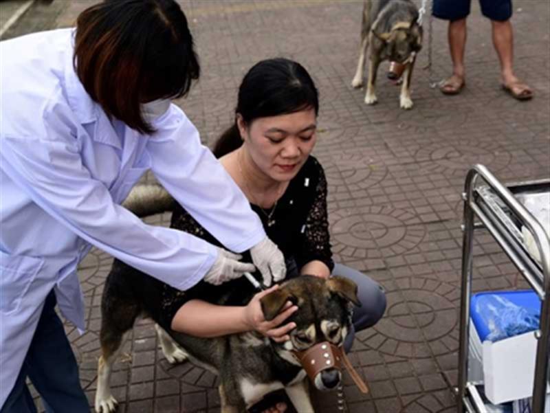 Survey of epidemiological and social information for rabies control in Vietnam, funded by Rakuno Gakuen University, 2016