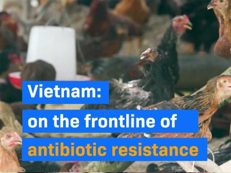 Identifying the burden of antibiotic resistance in Vietnam across different ecosystems