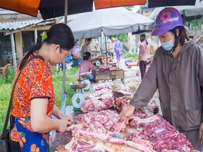 Một nhóm chuyên trách Đánh giá nguy cơ đối với các sản phẩm nông nghiệp ở Việt Nam