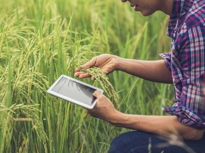 Linking agro-ecological factors with the risk of emergence, introduction, persistence or evolution of diseases; and disease risks to humans, livestock and wildlife caused by wastewater from livestock facilities.