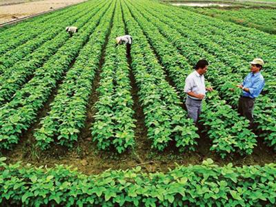 Agricultural production to improve nutrition and health, funded by the International Livestock Research Institute (ILRI), 2013-2015