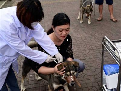 Survey of epidemiological and social information for rabies control in Vietnam, funded by Rakuno Gakuen University, 2016