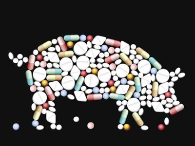 A systems approach to livelihood-sensitive veterinary antimicrobial stewardship in Vietnam, partnered and funded by ILRI, 2017