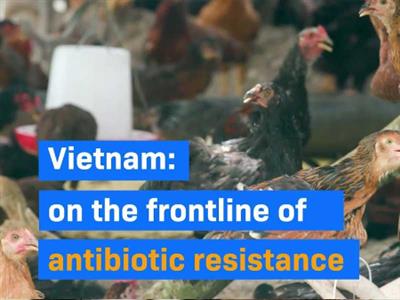 Identifying the burden of antibiotic resistance in Vietnam across different ecosystems