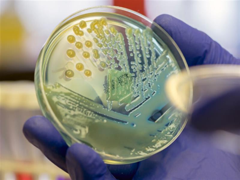 Bản tóm tắt chính sách Sử dụng kháng sinh trong ngành y tế - Cơ hội và thách thức giảm gánh nặng kháng kháng sinh