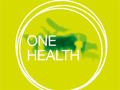 Operationalizing regional One Health initiatives in Southeast Asia: Ways forward